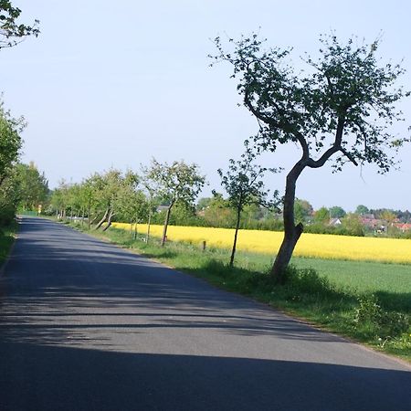 Ferienwohnung Im Grunen - Hof Blohme Langwedel  Esterno foto