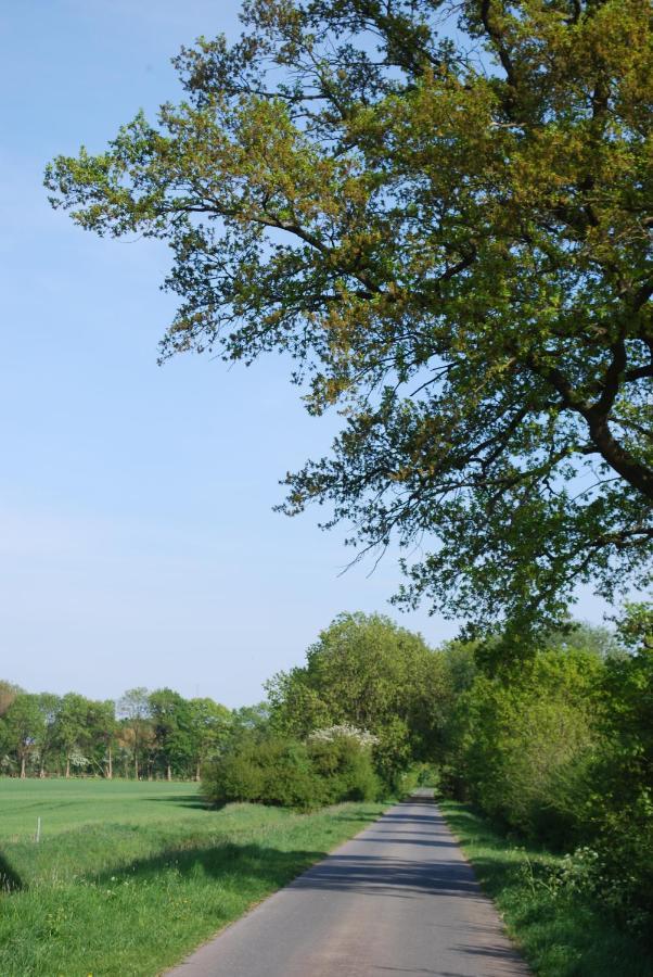 Ferienwohnung Im Grunen - Hof Blohme Langwedel  Esterno foto