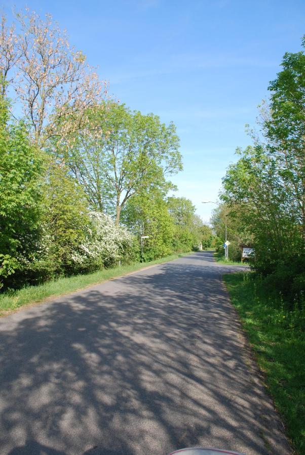 Ferienwohnung Im Grunen - Hof Blohme Langwedel  Esterno foto